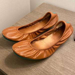 Chestnut tieks